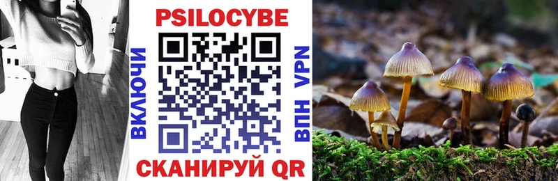 купить цена Омутнинск Галлюциногенные грибы MAGIC MUSHROOMS